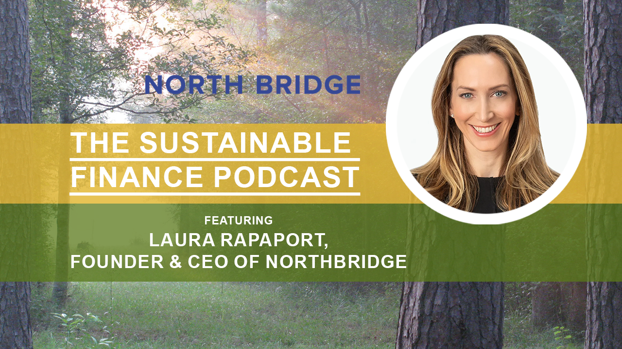 The Sustainable Finance Podcast: Using real estate financing to lower carbon emissions